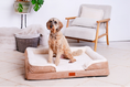 Load image into Gallery viewer, The Belgravia Orthopaedic Dog Sofa™ - Large