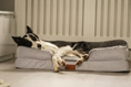 Load image into Gallery viewer, The Belgravia Orthopaedic Dog Sofa™ - Large