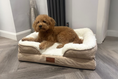 Load image into Gallery viewer, The Belgravia Orthopaedic Dog Sofa™