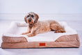 Load image into Gallery viewer, The Belgravia Orthopaedic Dog Sofa™