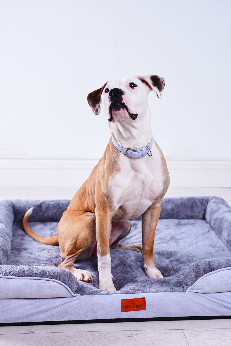 Washable Luxury Dog Sofa Bed - Large