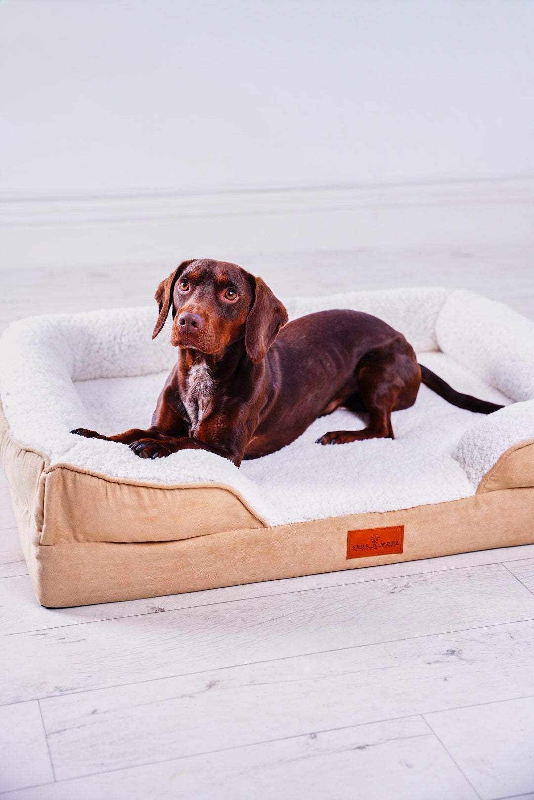 Washable Luxury Dog Sofa Bed - Medium
