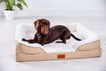 Load image into Gallery viewer, The Belgravia Orthopaedic Dog Sofa™