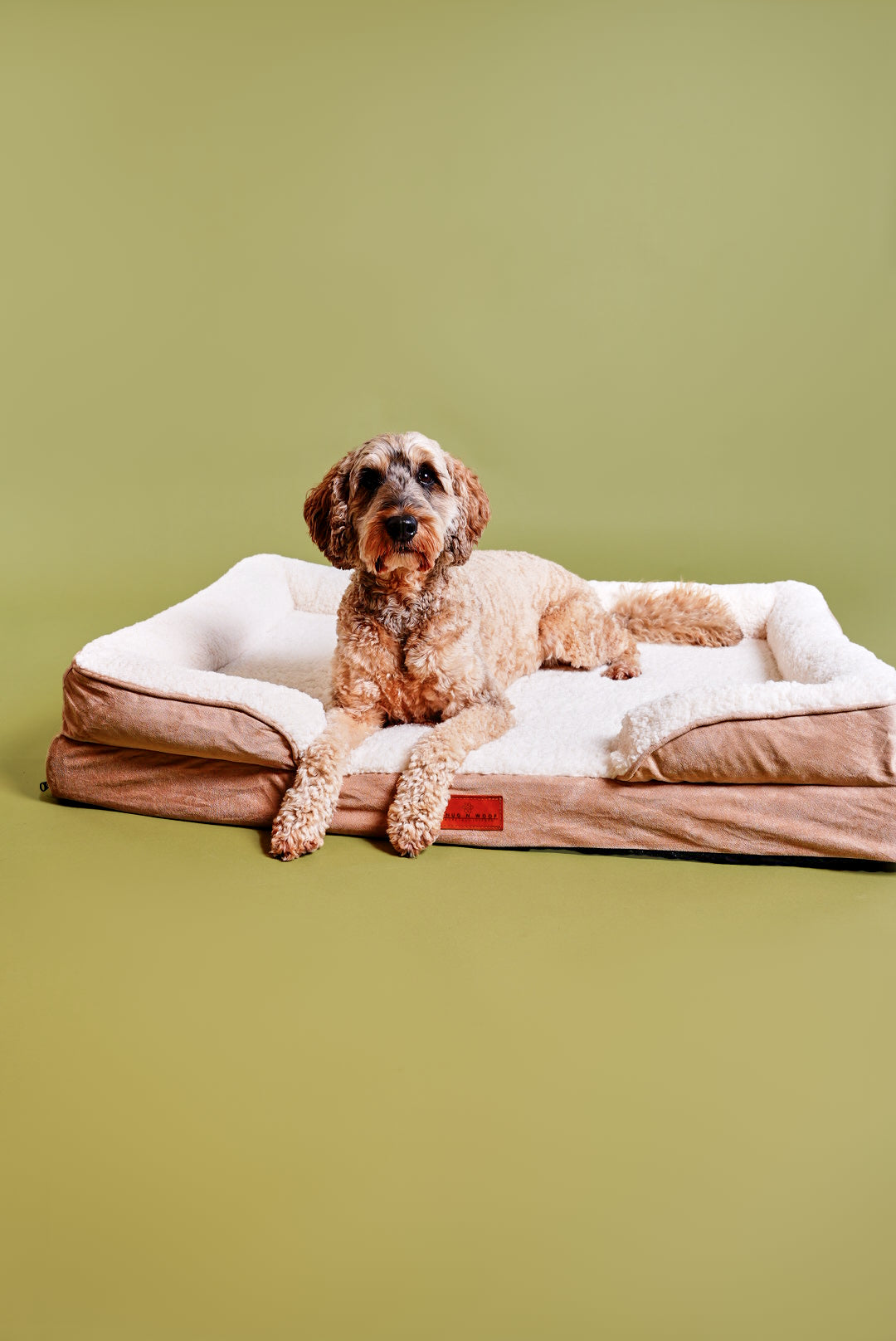 Washable Luxury Dog Sofa Bed - XL