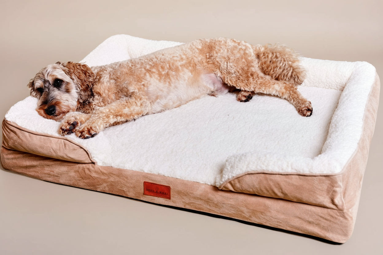 Washable Orthopaedic Dog Sofa Bed - XL