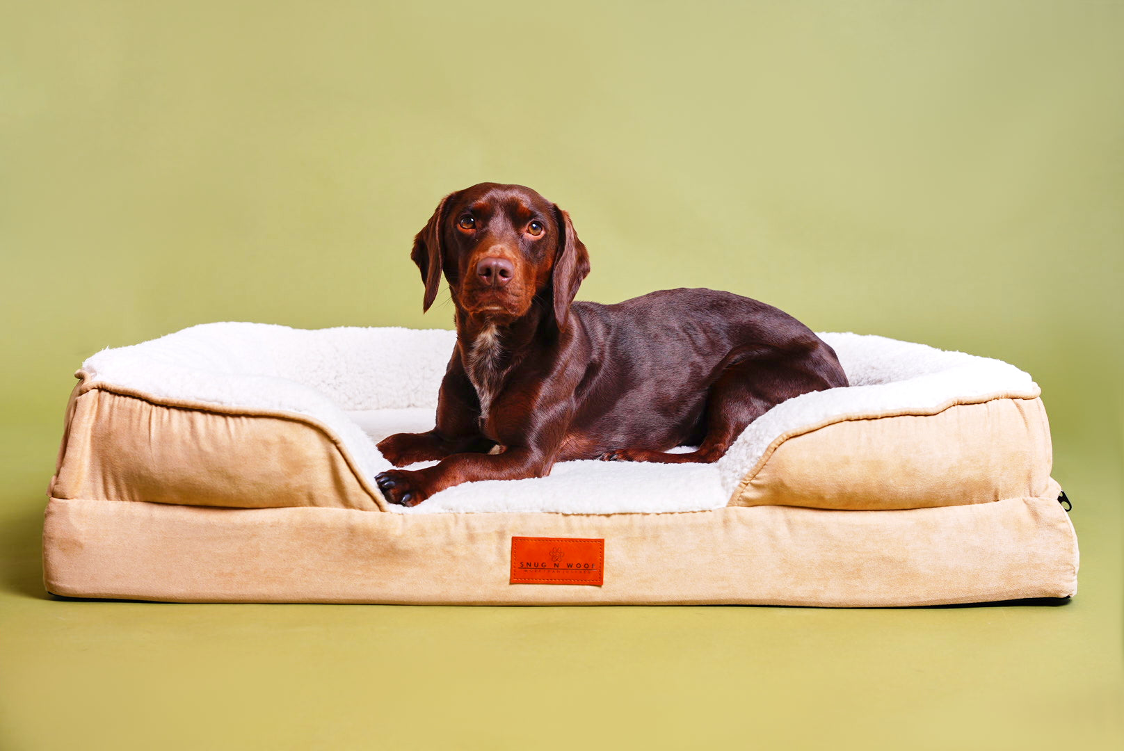 Washable Luxury Dog Sofa Bed - Large