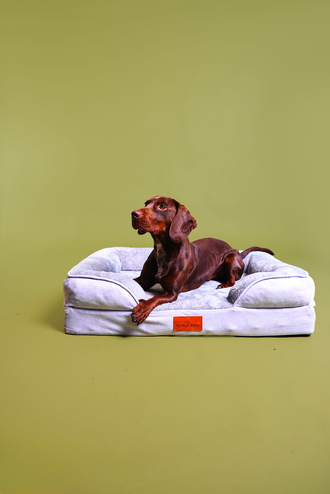 Washable Luxury Dog Sofa Bed - Medium