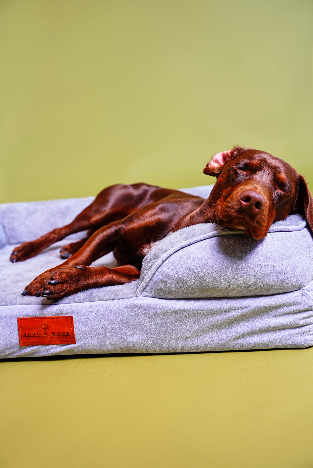Washable Luxury Dog Sofa Bed - Medium