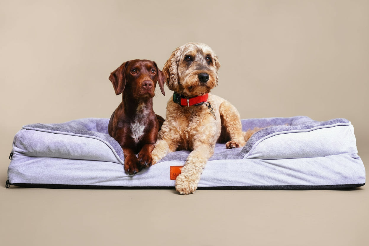 Washable Orthopaedic Dog Sofa Bed - XL