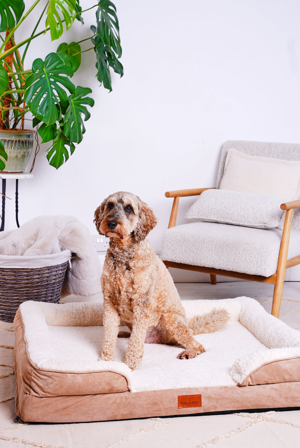 Washable Luxury Dog Sofa Bed - Large