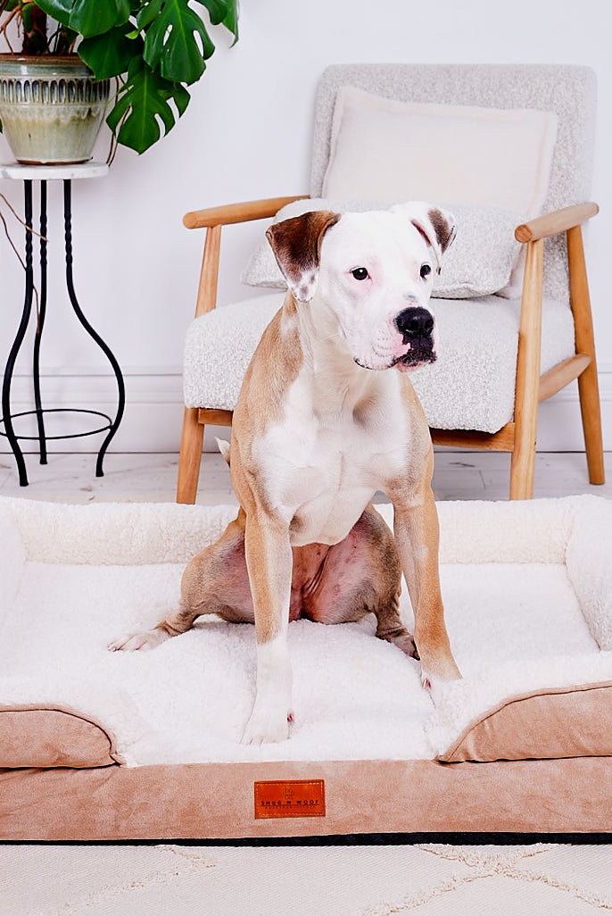 Washable Luxury Dog Sofa Bed - Large