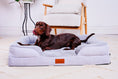 Load image into Gallery viewer, The Belgravia Orthopaedic Dog Sofa™ - Medium