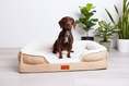 Load image into Gallery viewer, Dog bed on white laminate flooring with plants