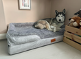 Load image into Gallery viewer, Premium dog bed with light laminate flooring and beige walls