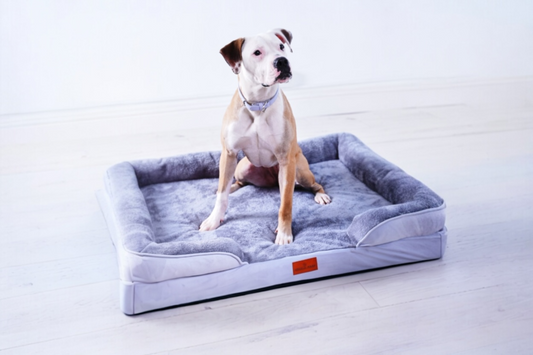 The Belgravia Orthopaedic Dog Sofa™