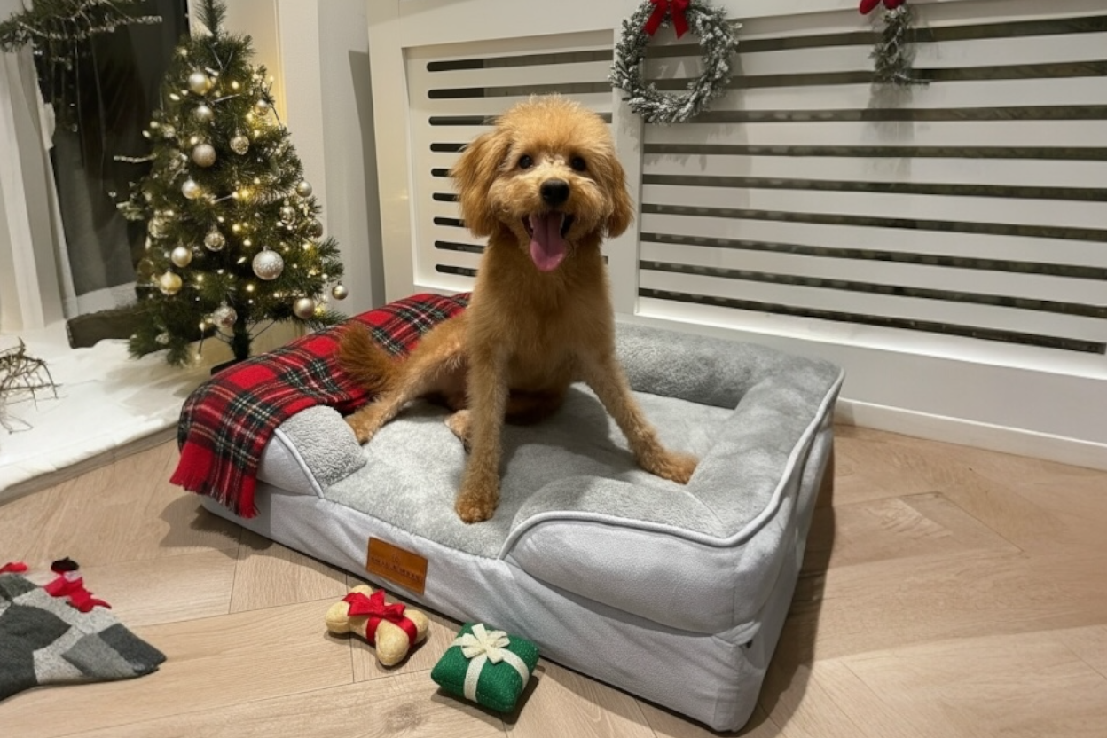 The Belgravia Orthopaedic Dog Sofa™ - Medium