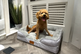 Load image into Gallery viewer, The Belgravia Orthopaedic Dog Sofa™
