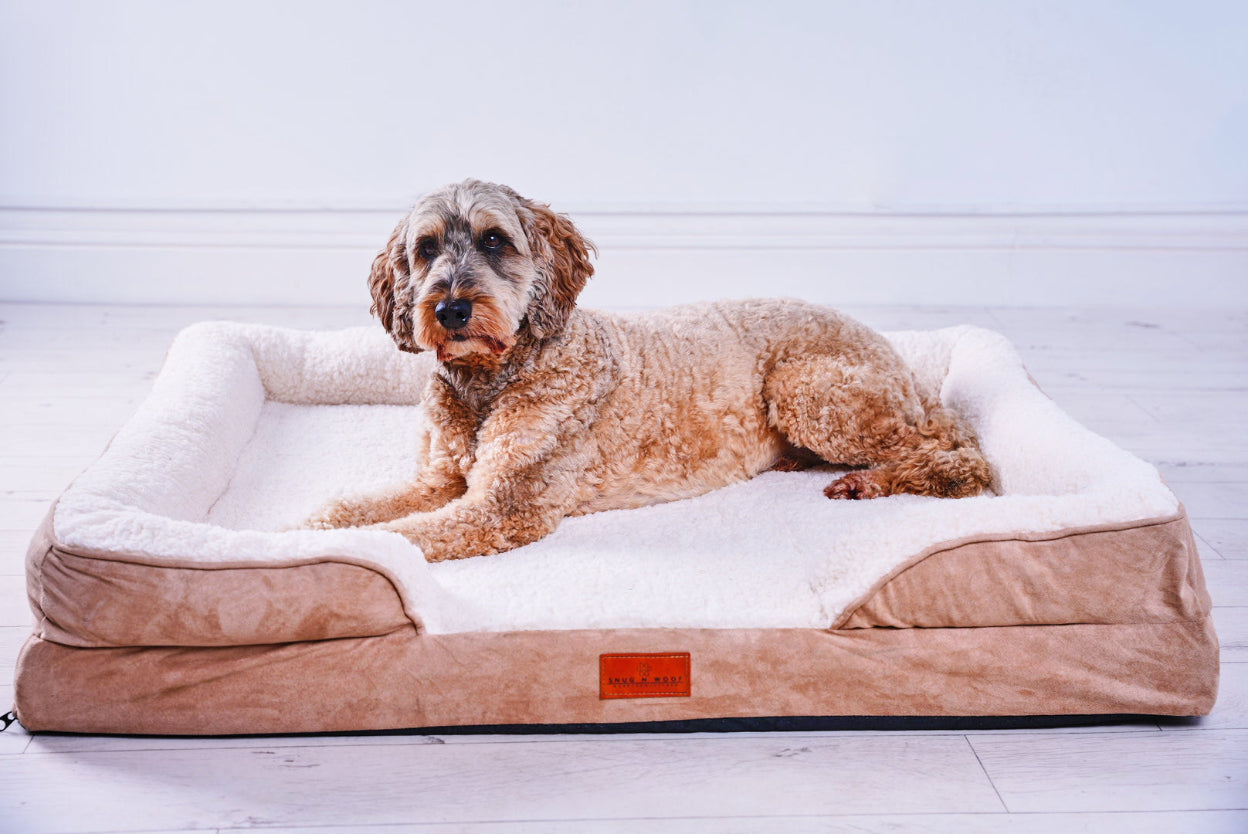 The Belgravia Orthopaedic Dog Sofa™