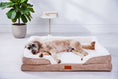 Load image into Gallery viewer, The Belgravia Orthopaedic Dog Sofa™ - Large
