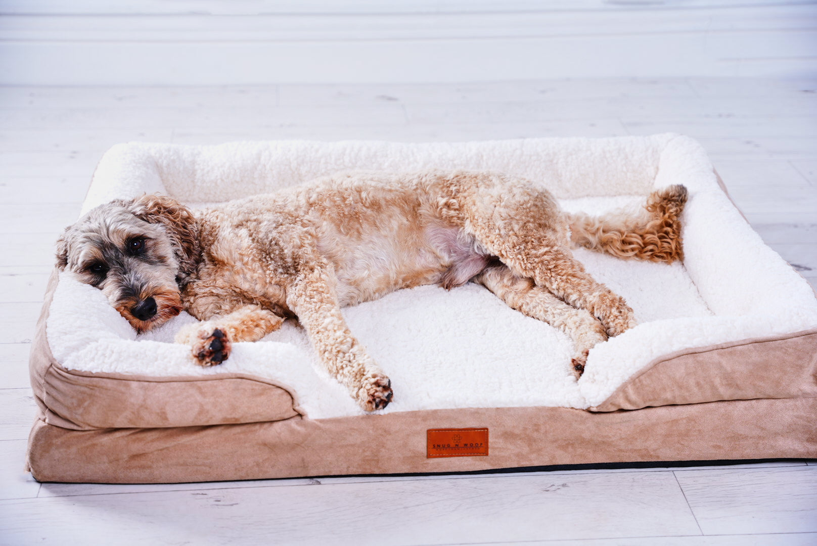 Washable Luxury Dog Sofa Bed - Large