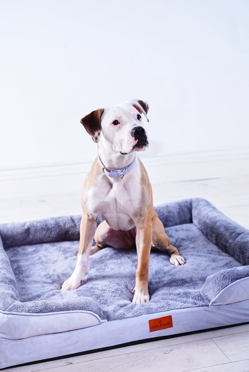 Washable Luxury Dog Sofa Bed - Large