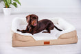 Load image into Gallery viewer, The Belgravia Orthopaedic Dog Sofa™ - Medium
