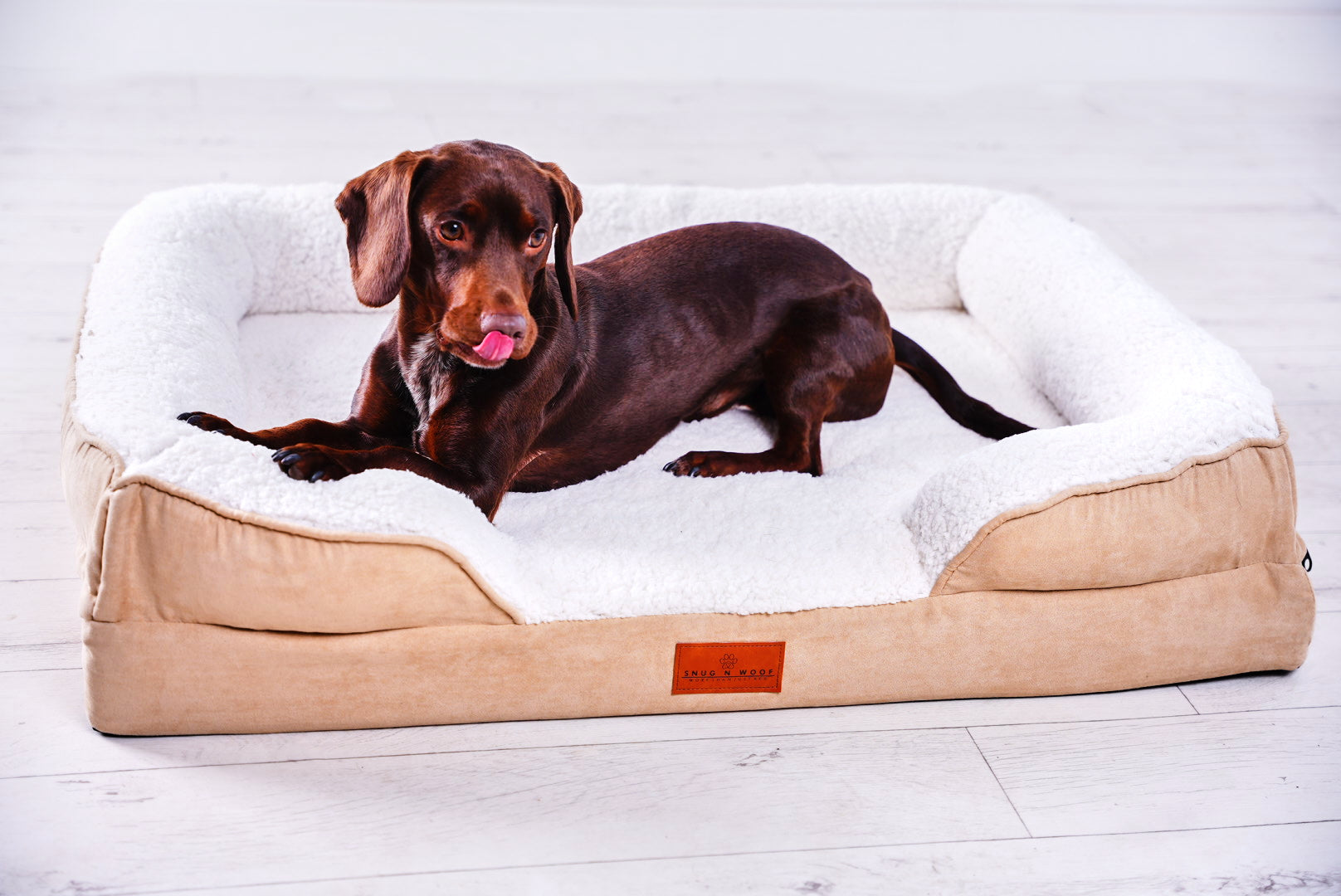 Washable Luxury Dog Sofa Bed - Medium