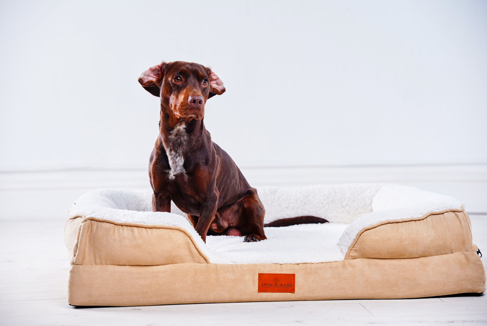 Washable Luxury Dog Sofa Bed - Medium