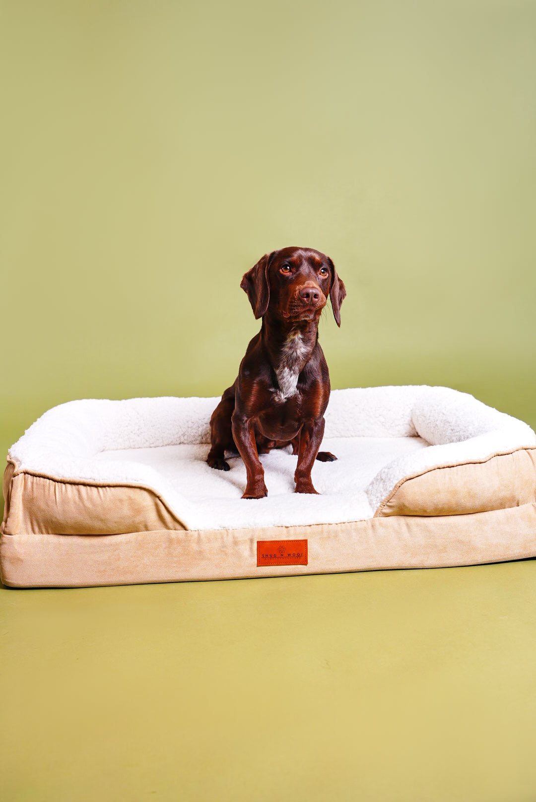 Washable Luxury Dog Sofa Bed - Medium