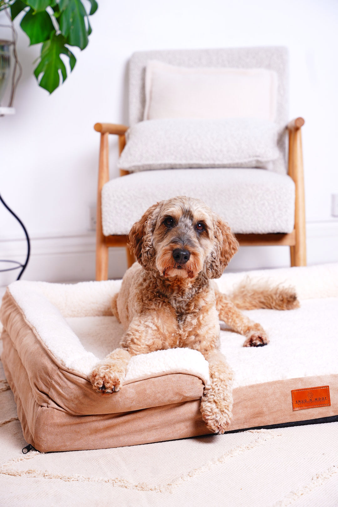 Washable Luxury Dog Sofa Bed - Large