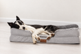 Load image into Gallery viewer, Border collie on grey bed with matched background
