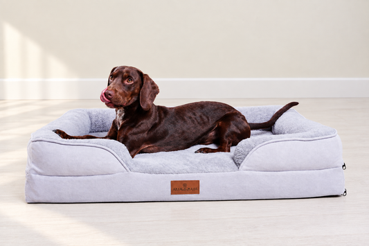 Chocolate-brown dog on grey bed with matched background