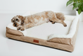 Load image into Gallery viewer, Dog bed product photo with white background elements
