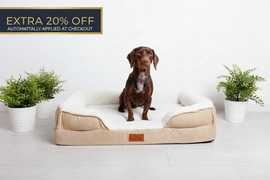 Dog bed with authentic Snug n Woof logo