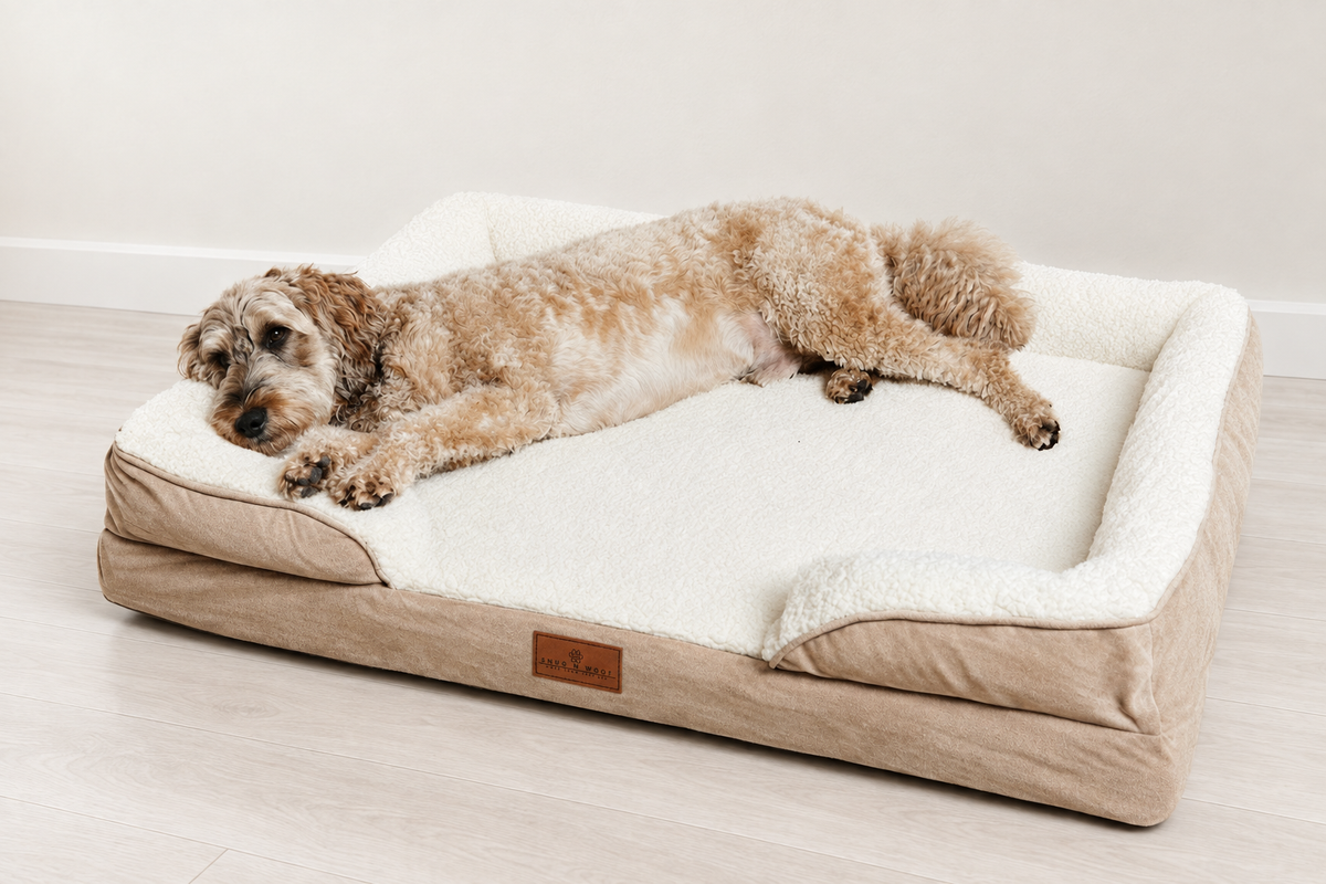 Dog bed with matched neutral background