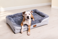 Load image into Gallery viewer, Dog on grey bed with matched neutral background
