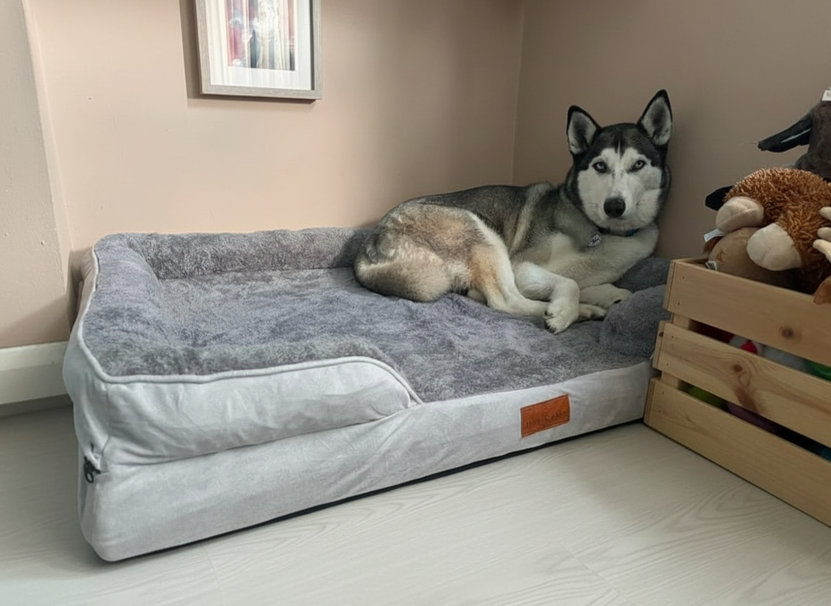 Premium dog bed with light laminate flooring and beige walls