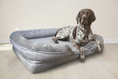 Load image into Gallery viewer, Single dog and bed with the light beige reference background
